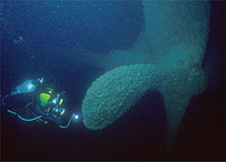 Propeller of Ann Arbor 5