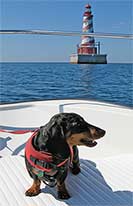 Jacques Cousteau with lighthouse