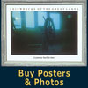 Buy Posters & Photos